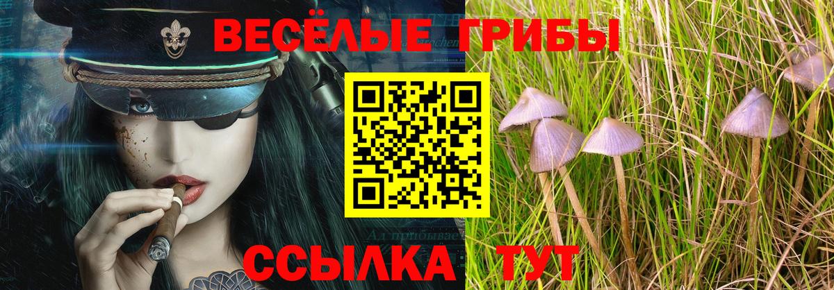 даркнет сайт  Галлюциногенные грибы мицелий  Вход с VPN  Всеволожск 