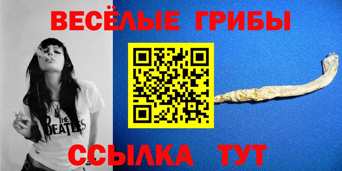 Псилоцибиновые грибы Cubensis Всеволожск